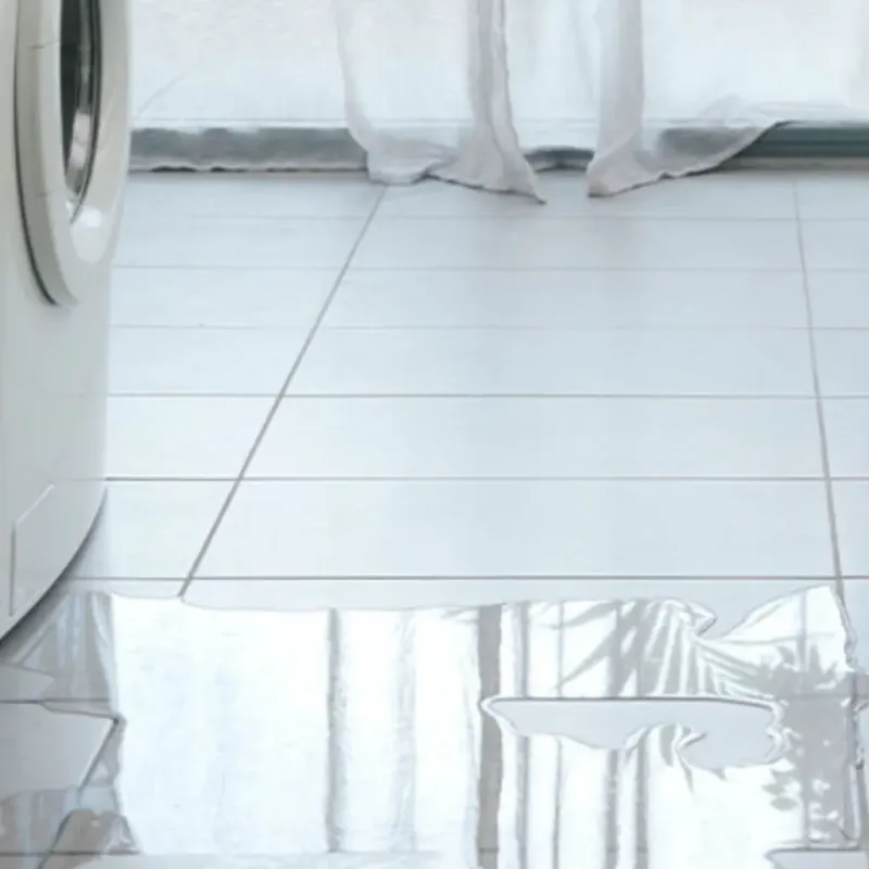 Appliance Leak Cleanup in Smithville, MO