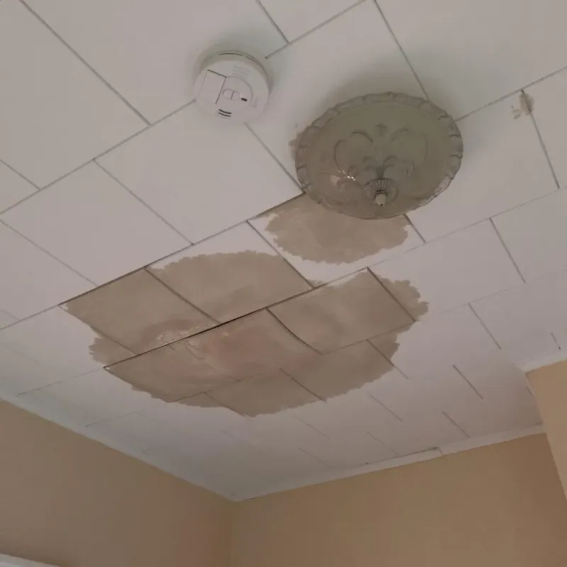 Ceiling Water Damage Repair in Smithville, MO